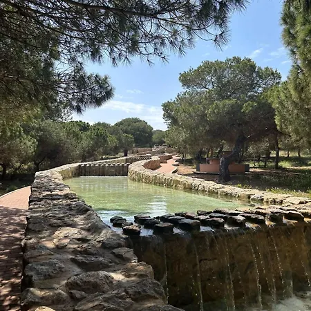 Apartamento La Mata, Torrevieja